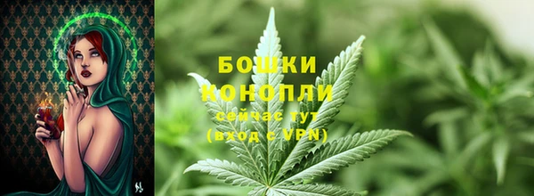 2c-b Горняк
