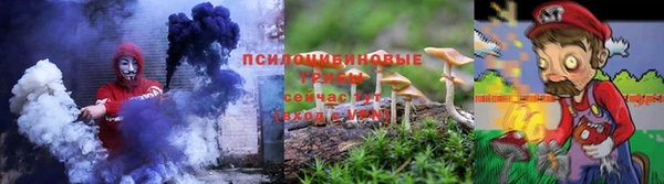 ГАЛЛЮЦИНОГЕННЫЕ ГРИБЫ Горно-Алтайск