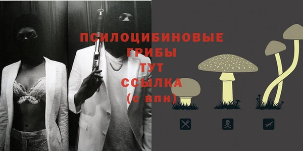 2c-b Горняк