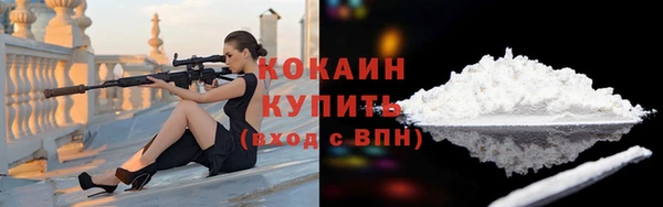 ГАЛЛЮЦИНОГЕННЫЕ ГРИБЫ Горно-Алтайск