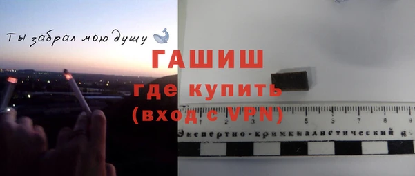 ГАЛЛЮЦИНОГЕННЫЕ ГРИБЫ Горно-Алтайск
