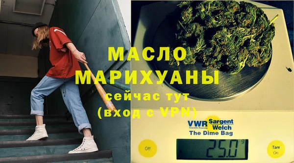 2c-b Горняк