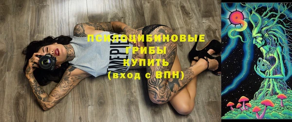 ГАЛЛЮЦИНОГЕННЫЕ ГРИБЫ Горно-Алтайск