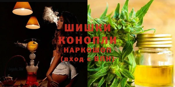 ГАЛЛЮЦИНОГЕННЫЕ ГРИБЫ Горно-Алтайск