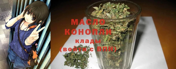 2c-b Горняк