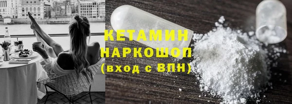 крисы Корсаков