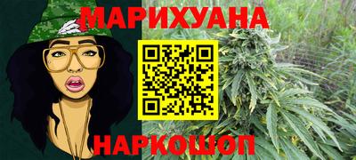 альфа пвп Заводоуковск