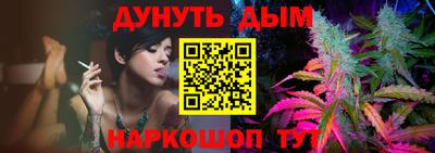 альфа пвп Заводоуковск