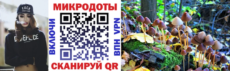сколько стоит Мценск Псилоцибиновые грибы Psilocybe