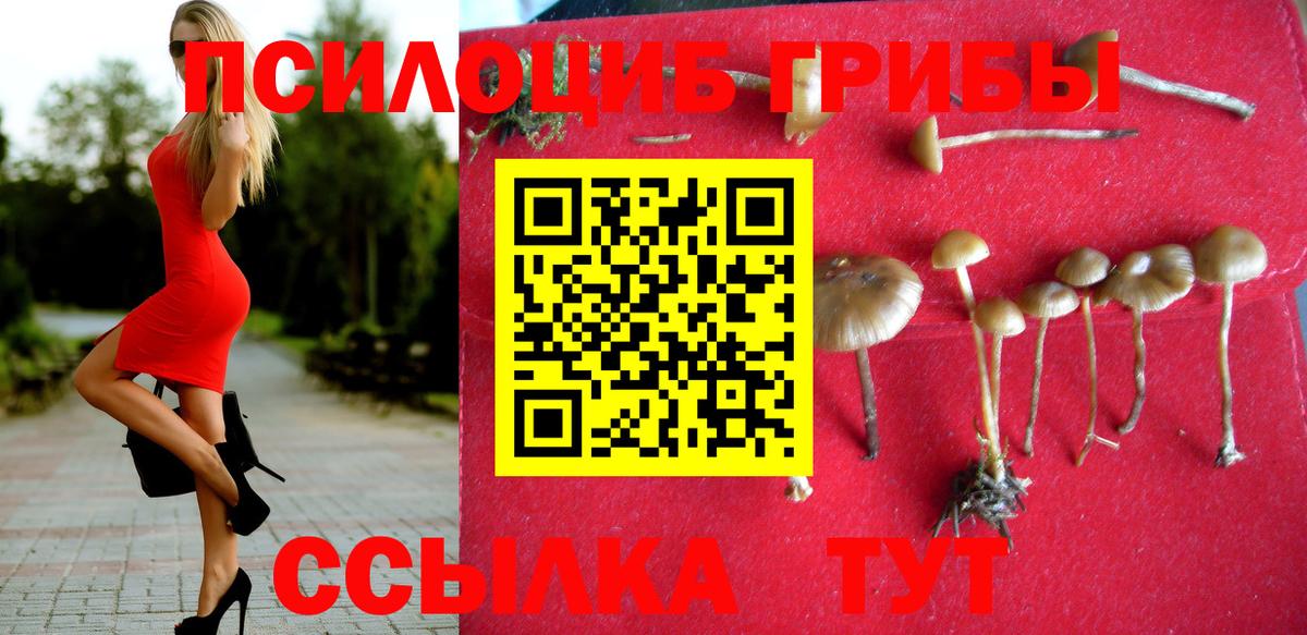 Псилоцибиновые грибы Magic Shrooms Мценск