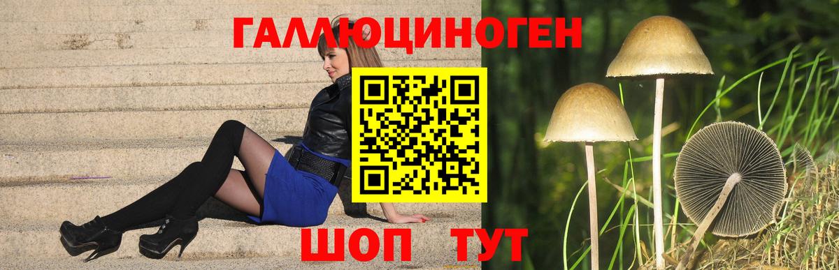 Мценск  магазин  наркотиков  Вход с VPN  Галлюциногенные грибы Psilocybe 