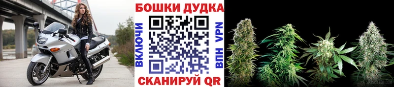 как найти наркотики Мценск Бошки Шишки VHQ